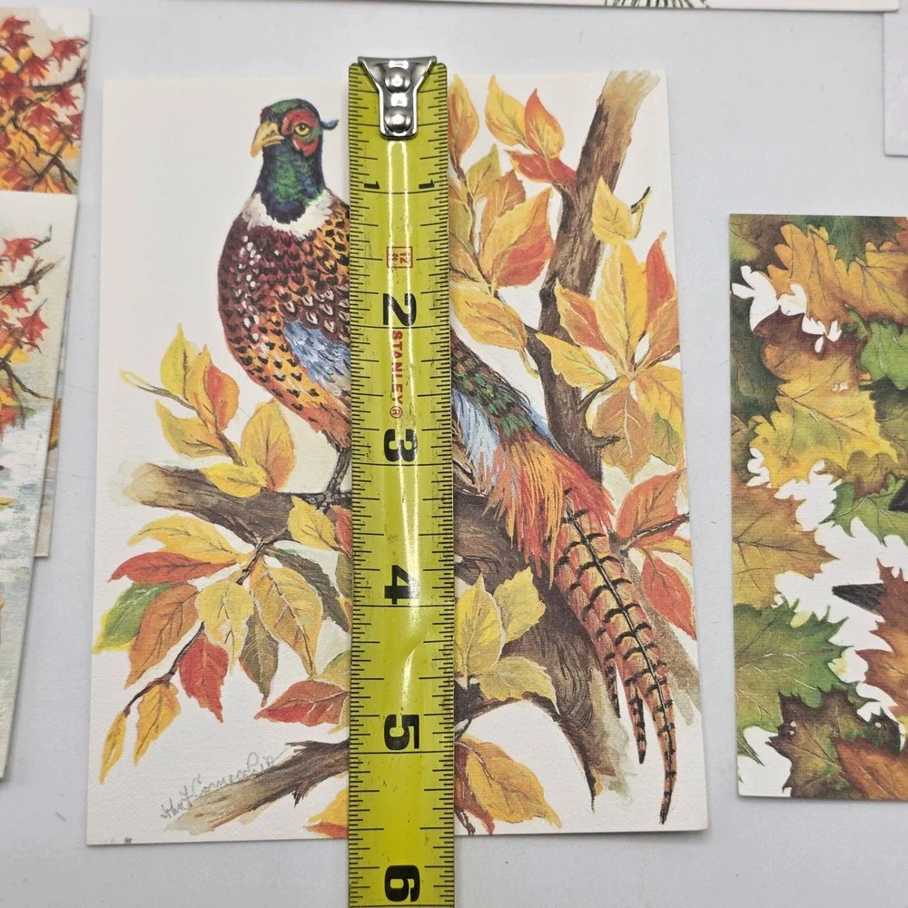 John Cornacchio Bird Note Cards 16ct Multicolor Wildlife Art Stationery Set USA